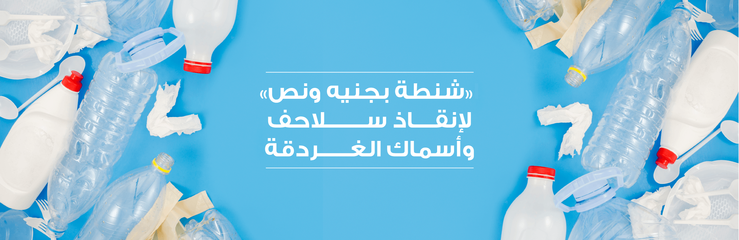 «شنطة بجنيه ونص» ﻹنقاذ سلاحف وأسماك الغردقة