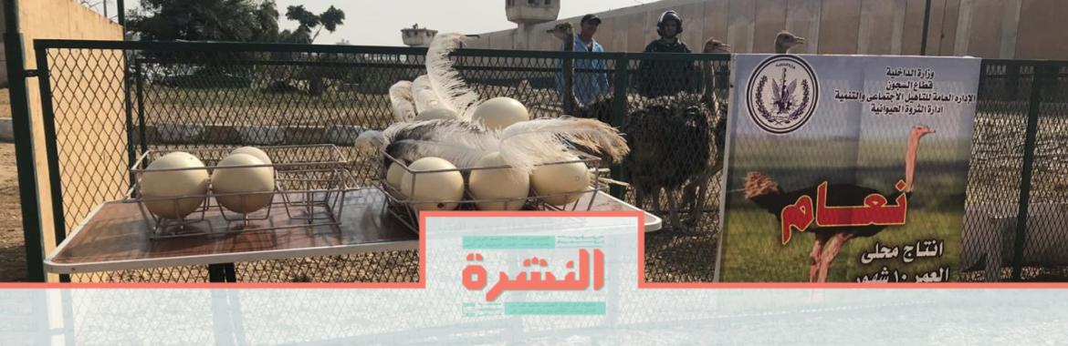 الإثنين 11 نوفمبر: زيارة الصحفيين لسجون طرة بلا أسئلة
