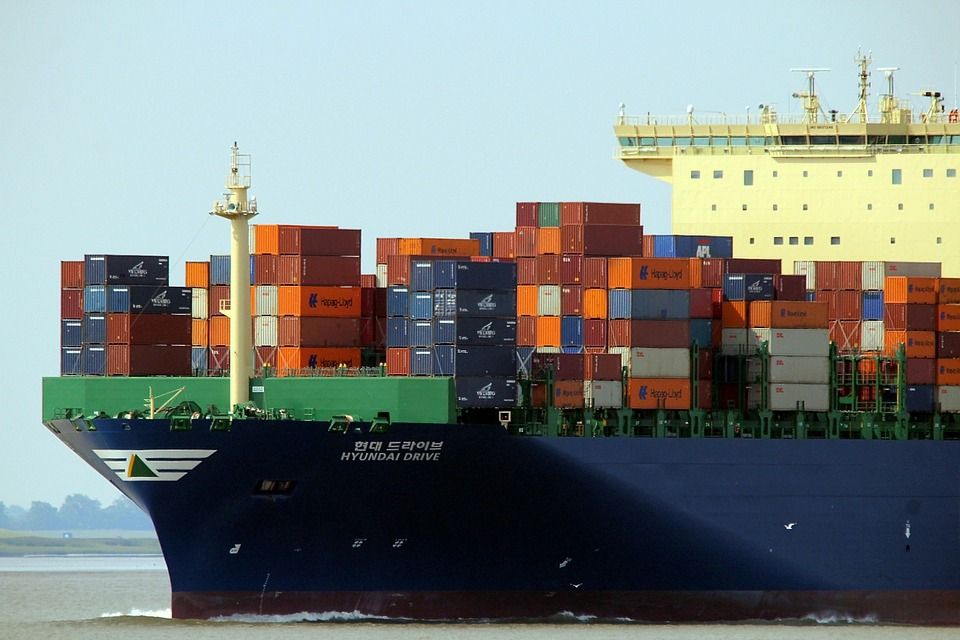 Gone with the wind: The flotation’s impact on Egyptian exports