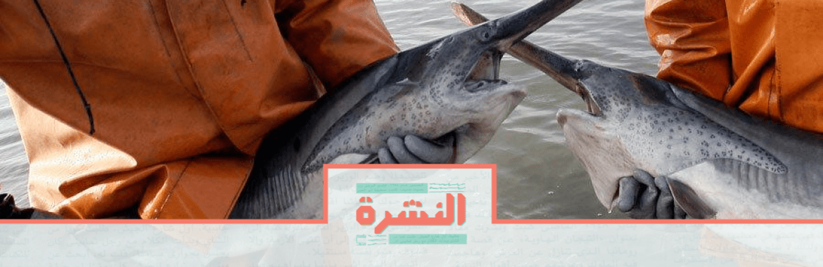 الأحد ٥ يناير: حيثيات حكم مساواة المسيحيين في الإرث تقر مبدأ جديدًا | شركاؤنا في الكوكب: انقراض سمكة صينية