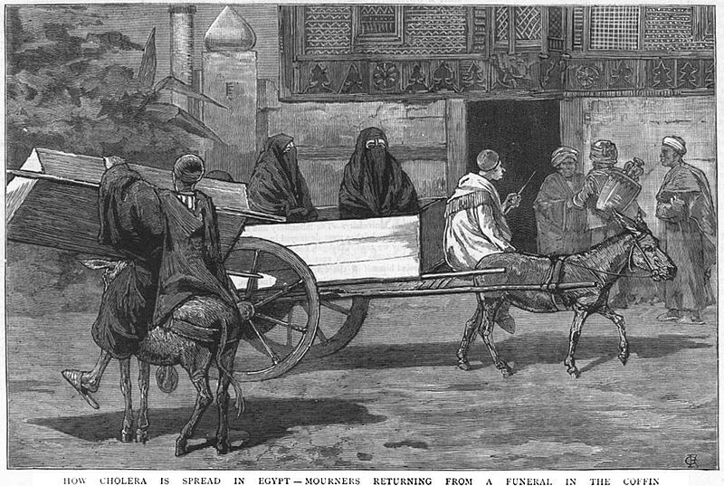 عن تاريخ الكارانتينا في مصر 