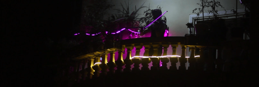 Video | Curfew concert