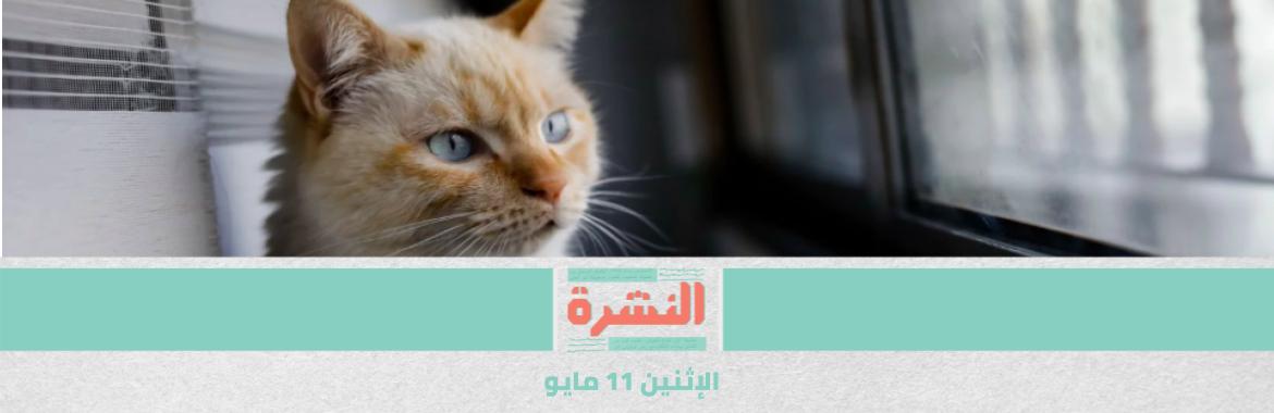 بحكم «كورونا»: دخول البنوك بالكمامة.. وإحالة 12 «صلّوا التراويح جماعة» للجنح
