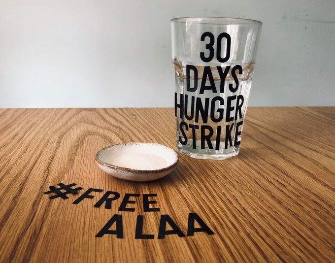As detainees remain cut off amid pandemic, Alaa Abd El Fattah continues month-long hunger strike