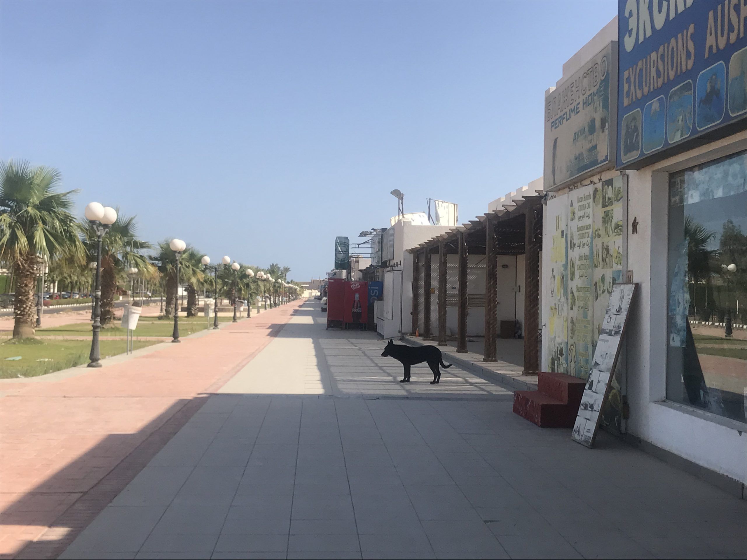 رحلة إلى «جنة» مهجورة