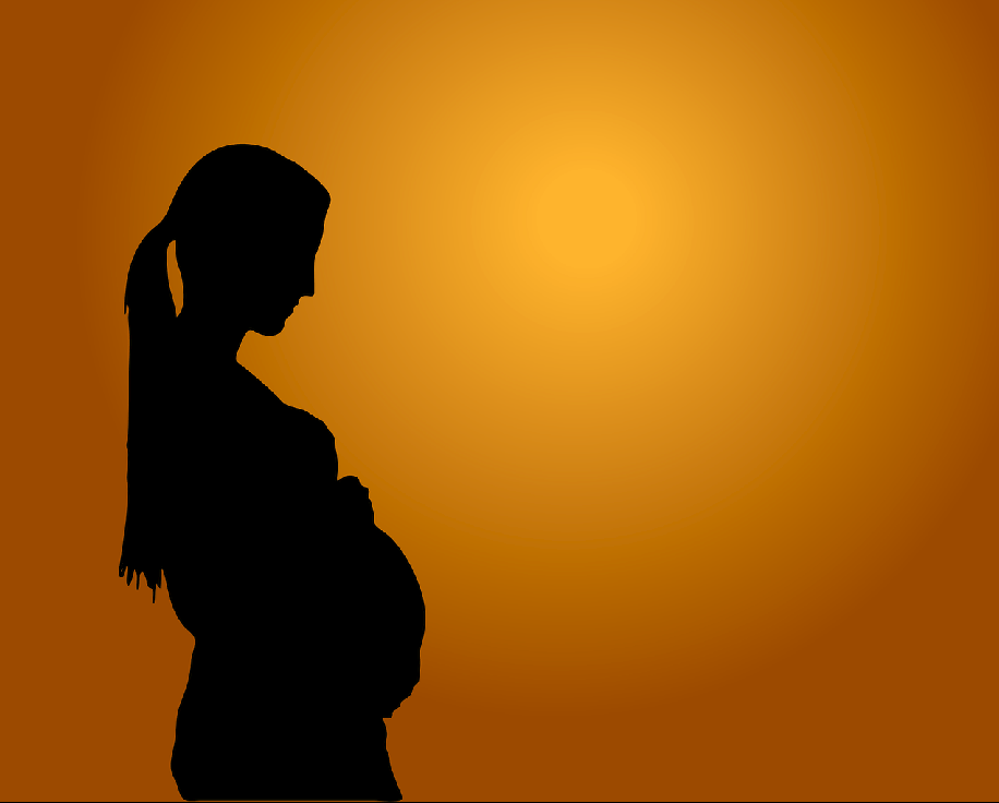 The pandemic and the search for medical care while pregnant