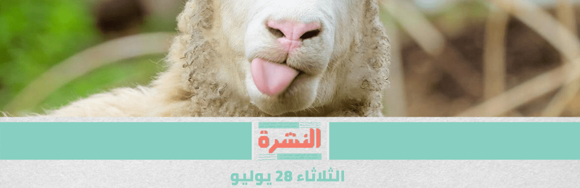 مجازر مجانية لمكافحة ذبح الأضاحي في الشوارع | الإفراج عن صحفيين بعد عامين من الحبس الاحتياطي