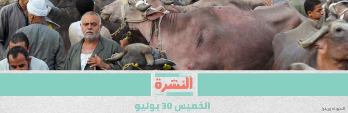 الصحة العالمية تقدّم نصائح بشأن تجمعات «الأضحى» | «القومي للمرأة» يدعو المُهددات بالعنف لـ«الشكوى والإبلاغ»