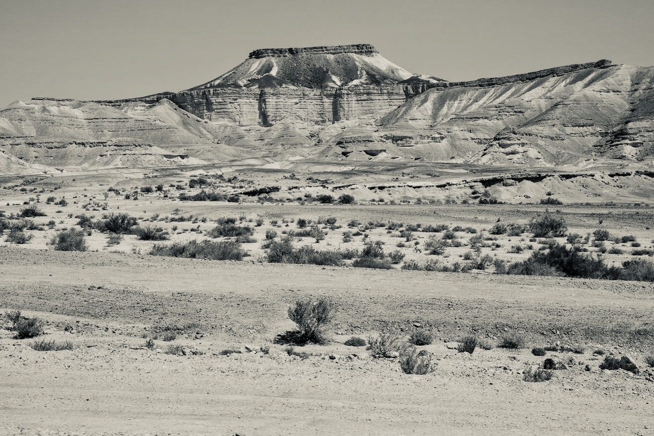 ‘Nothing moved but the mirage’: Movement and its absence in Adania Shibli’s Minor Detail