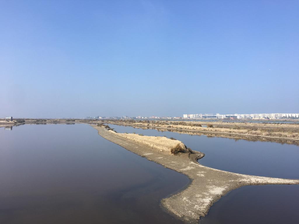 Big fish in a shrinking pond: How an Armed Forces company is building a fish farming monopoly