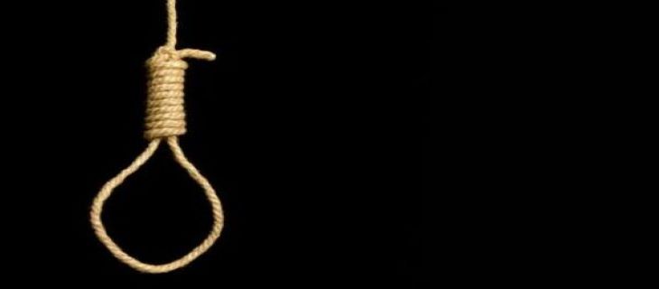 16 executions carried out over single week in Alexandria, Cairo