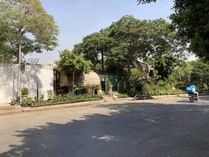 Maadi’s Street 250 plant shop owners root in after verbal eviction orders