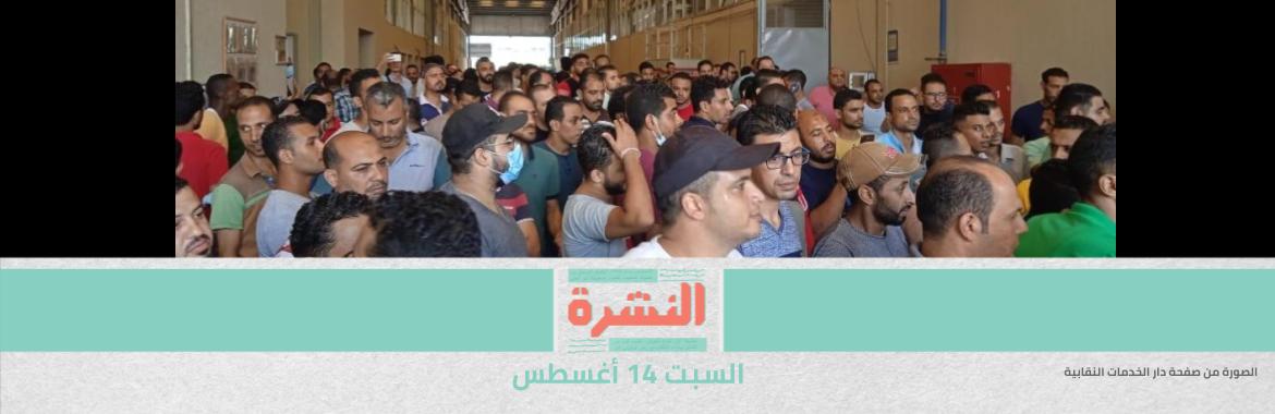  تبعات إضراب عمال «لورد».. الإدارة تفصل 34 من العمال الجدد.. وتحقق مع 50 بتهم التحريض على الإضراب والإضرار بالشركة 