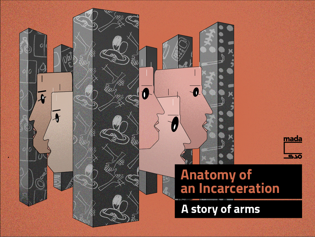 Anatomy of an Incarceration: A story of arms