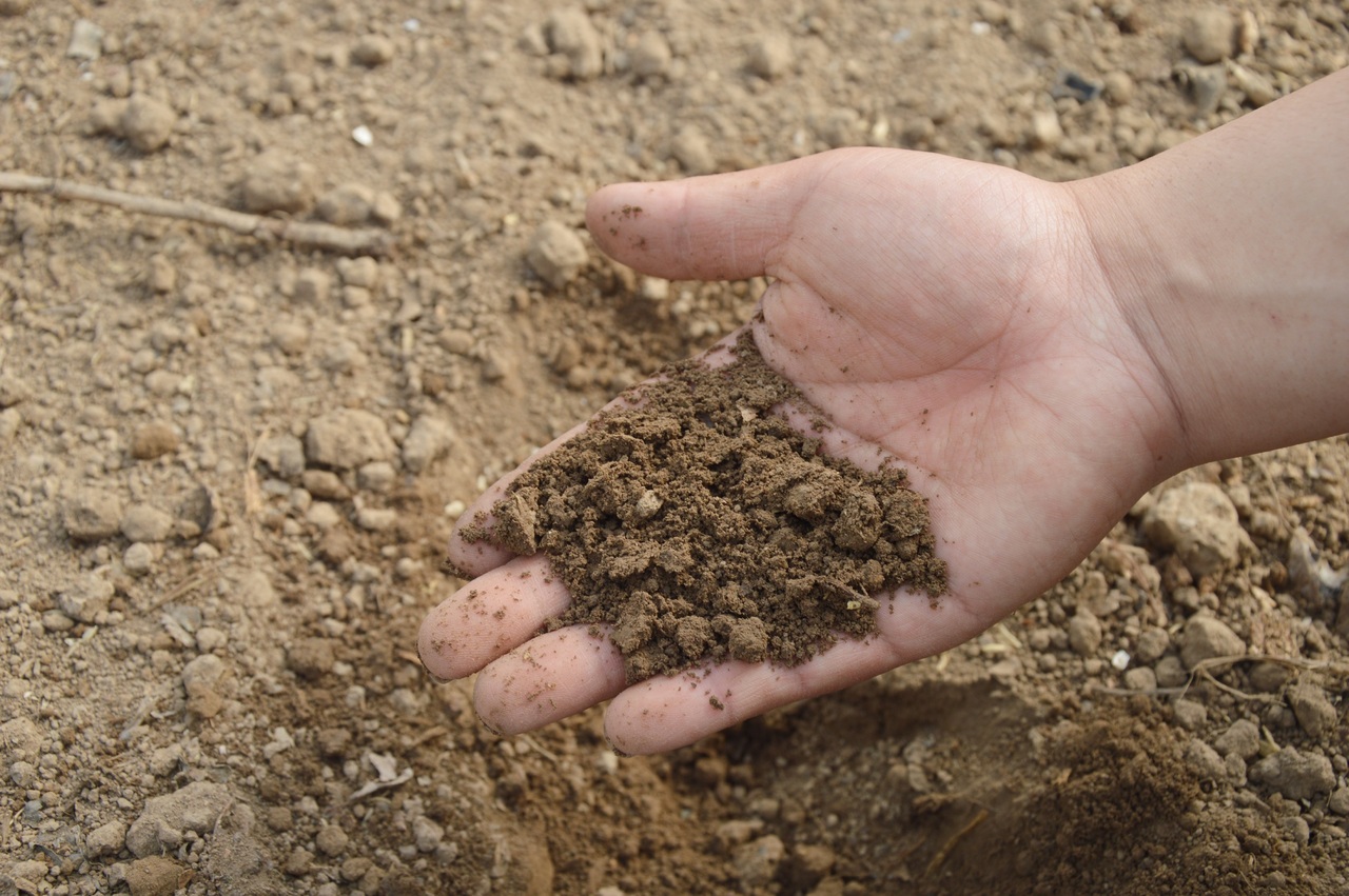Farmers suffer as fertilizers sellers turn to open market amid global price surge