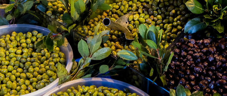 Climate change strikes another crop in Egypt: Olive harvest drops by half