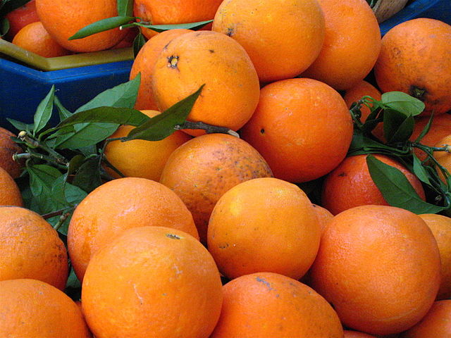 Egyptian oranges stuck in Russian ports following a sudden import amendment