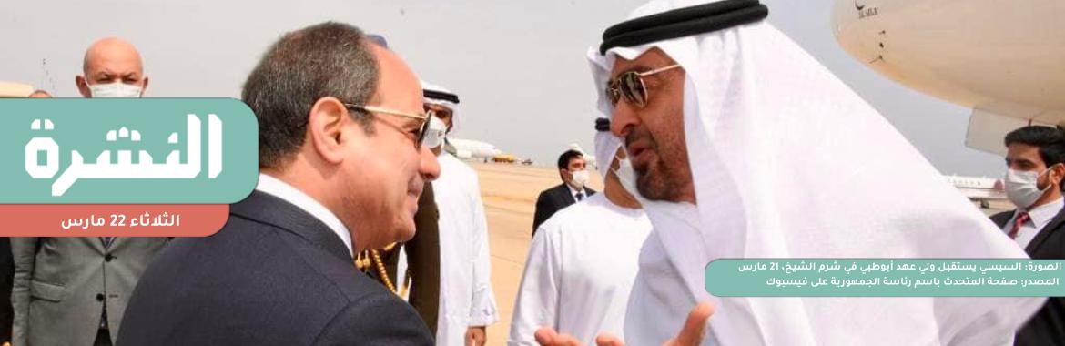 لتوفير النقد الأجنبي.. الحكومة تتجه إلى بيع حصصها في 5 كيانات اقتصادية لـ«أبوظبي السيادي» | بعد تراجع قيمة الجنيه.. ركود في أسواق بعض السلع