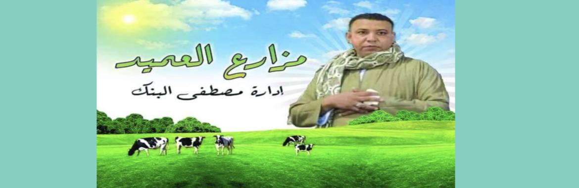 «مستريح أسوان»: بنك الأهالي البديل