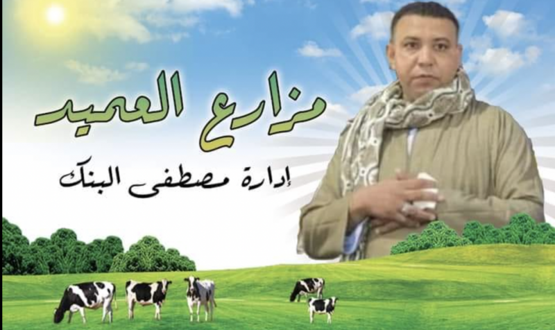 The perils of banking with Mostafa al-Bank: The rise and fall of Aswan’s Mestereyeheen