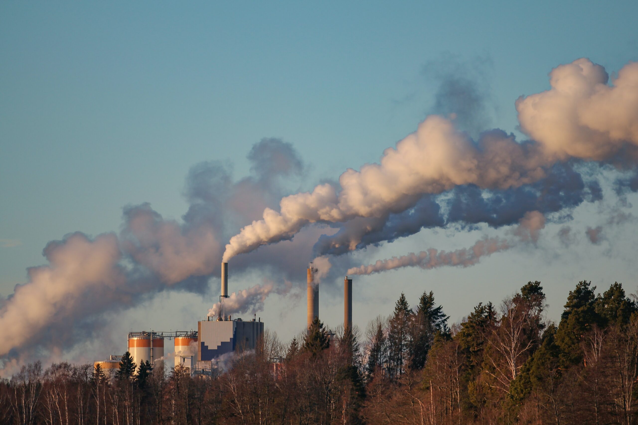Cashing in on greenwashing? Egyptian solar companies sell carbon certificates to Global North