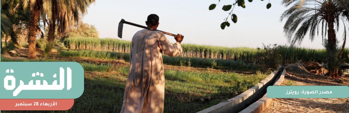 التجار والموزعون يقترحون اقتصار دعم اﻷسمدة على 7 محاصيل «نقدًا» 