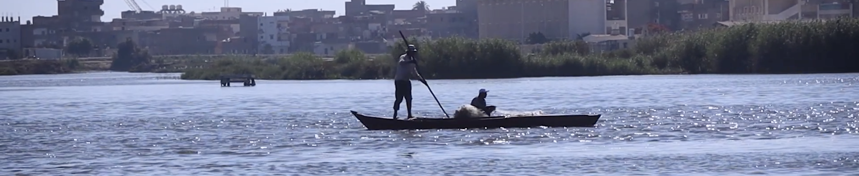 Video | Empty nets