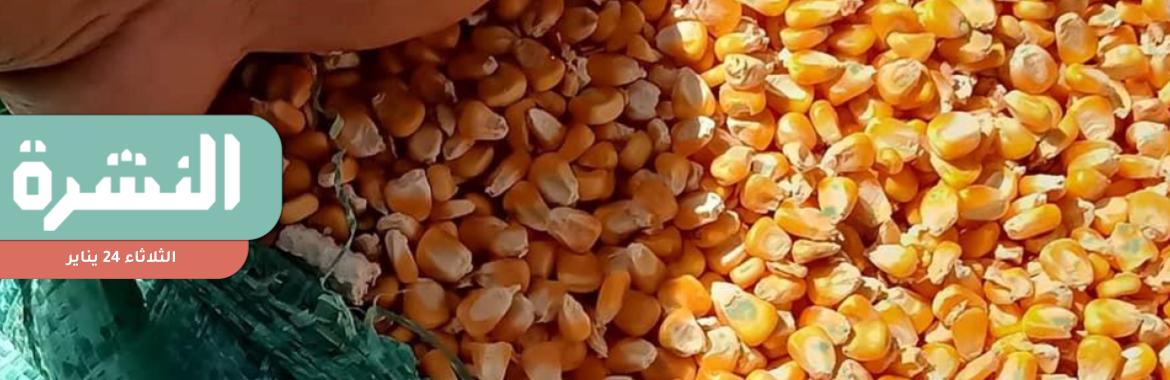 تراجع في أسعار الحبوب بعد تسريع الإفراجات الجمركية وانخفاض الطلب