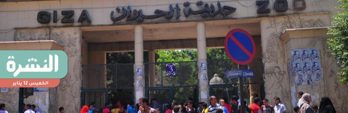 مصادر: «التنسيق الحضاري» يتحفظ على خطة تطوير «الحيوان والأورمان» 