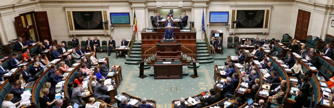 البرلمان البلجيكي يدين حال حقوق الإنسان في مصر.. ويدعو لموقف أوروبي موحد ضد الانتهاكات