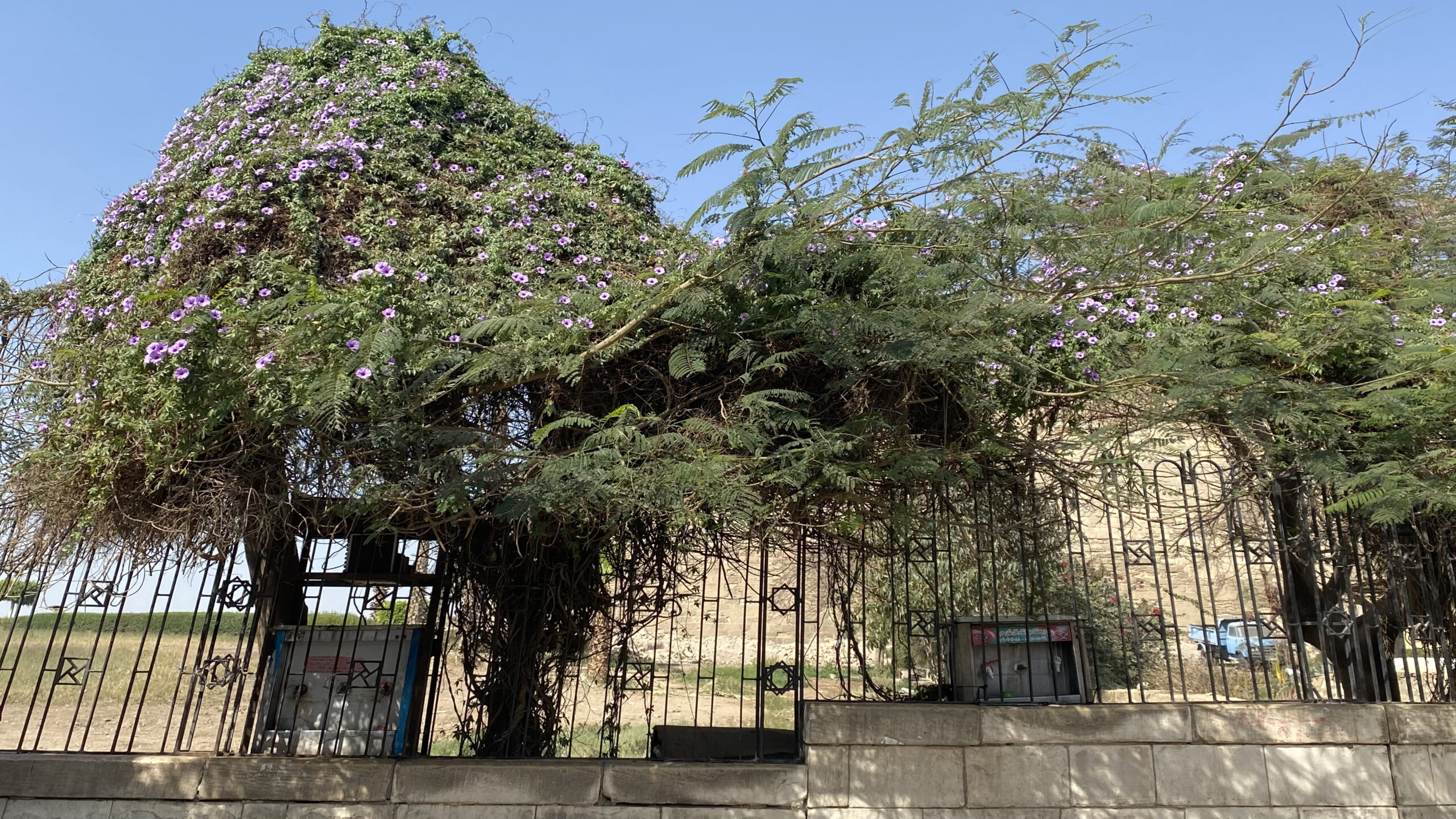 قصيدة إلى ثيرنودا