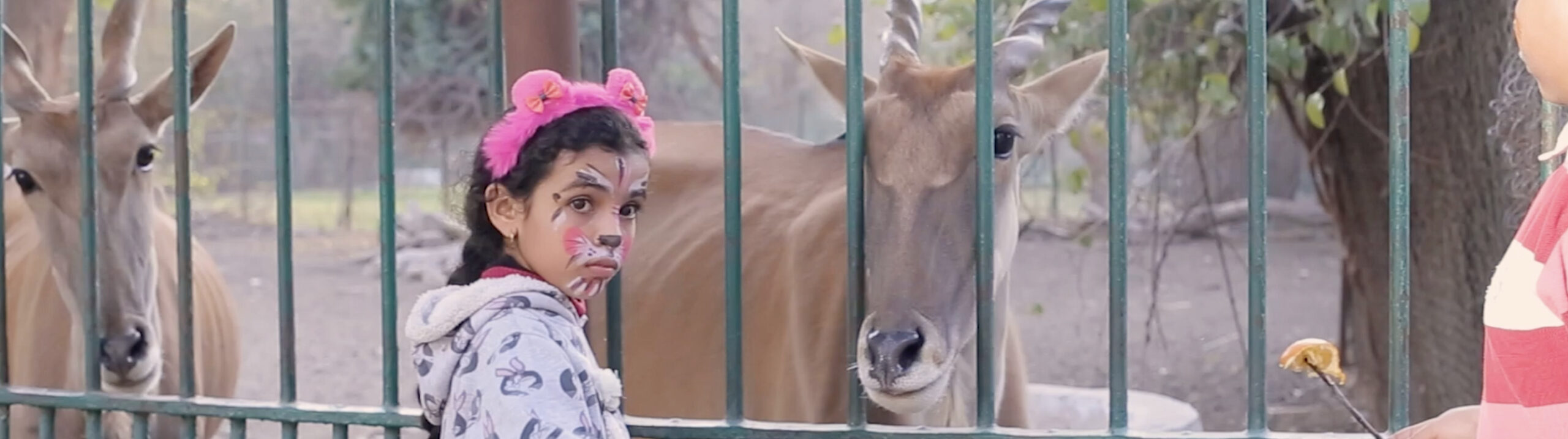 Video | Our zoo, our botanical garden