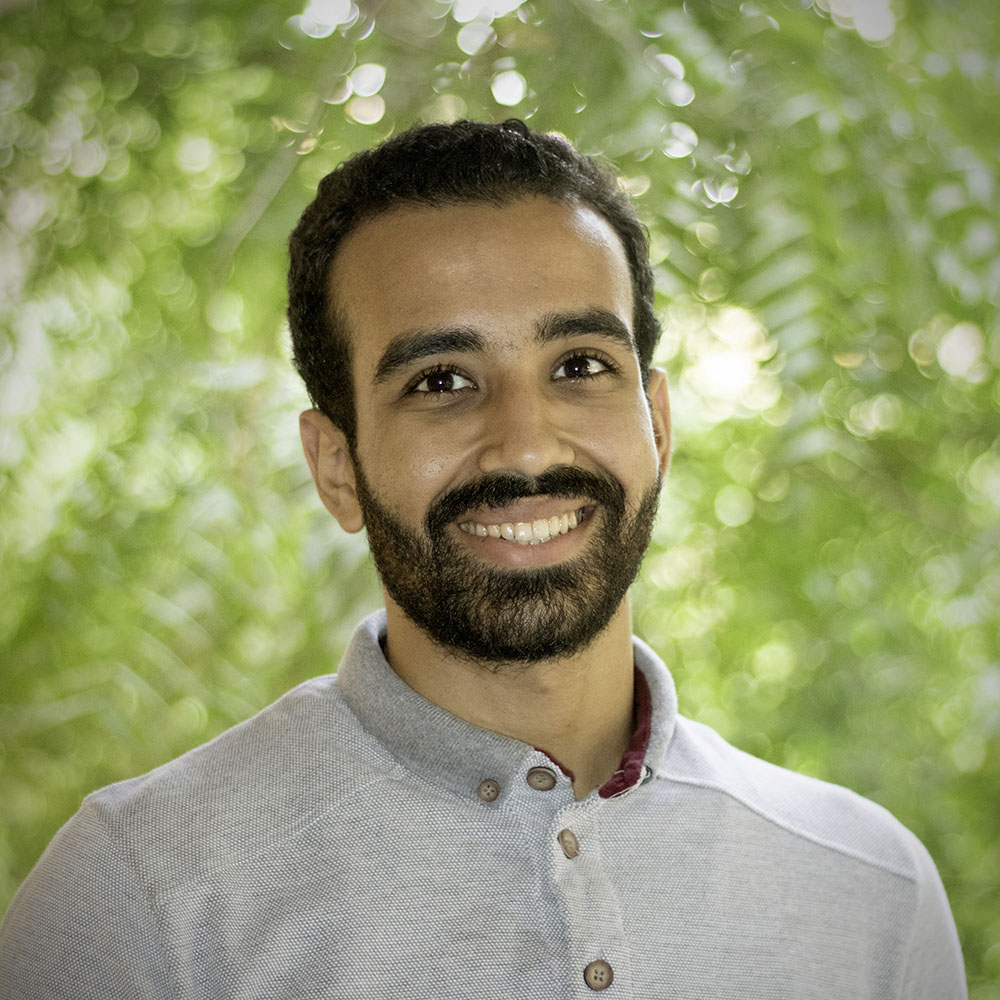 Fact-checking journalist arrested after platform reports on identities of Egyptian nationals on plane carrying cash, weapons seized in Zambia