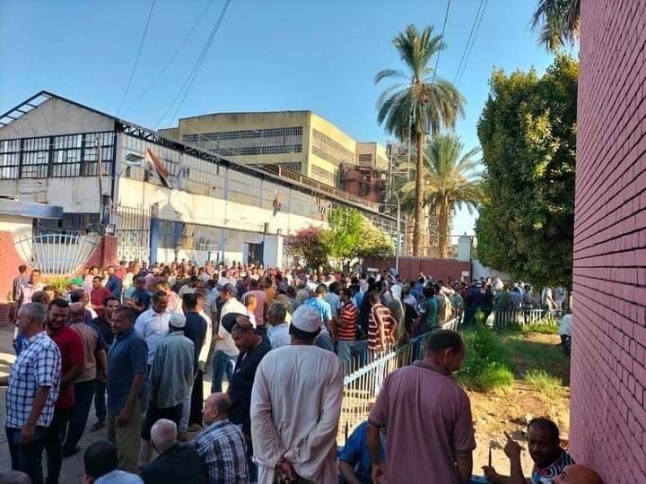 عمال مصنعى سكر كوم أمبو وأرمنت يضربون «لزيادة الأجور»