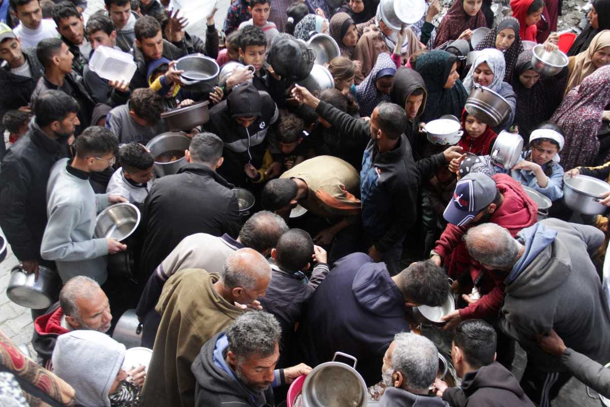 نازحون: الغذاء باهظ الثمن في جنوب غزة.. و4 شاحنات مساعدات فقط تصل الشمال | عقوبات أمريكية أوروبية ضد «القسام» و«سرايا القدس»