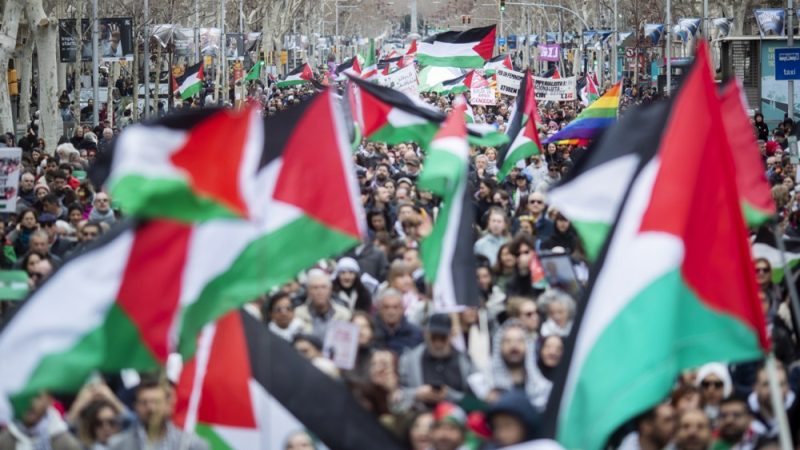 النرويج وأيرلندا وإسبانيا تعترف بفلسطين رسميًا | النيابة: غرق 11 فتاة وفقد 5 في «معدية منشأة القناطر»