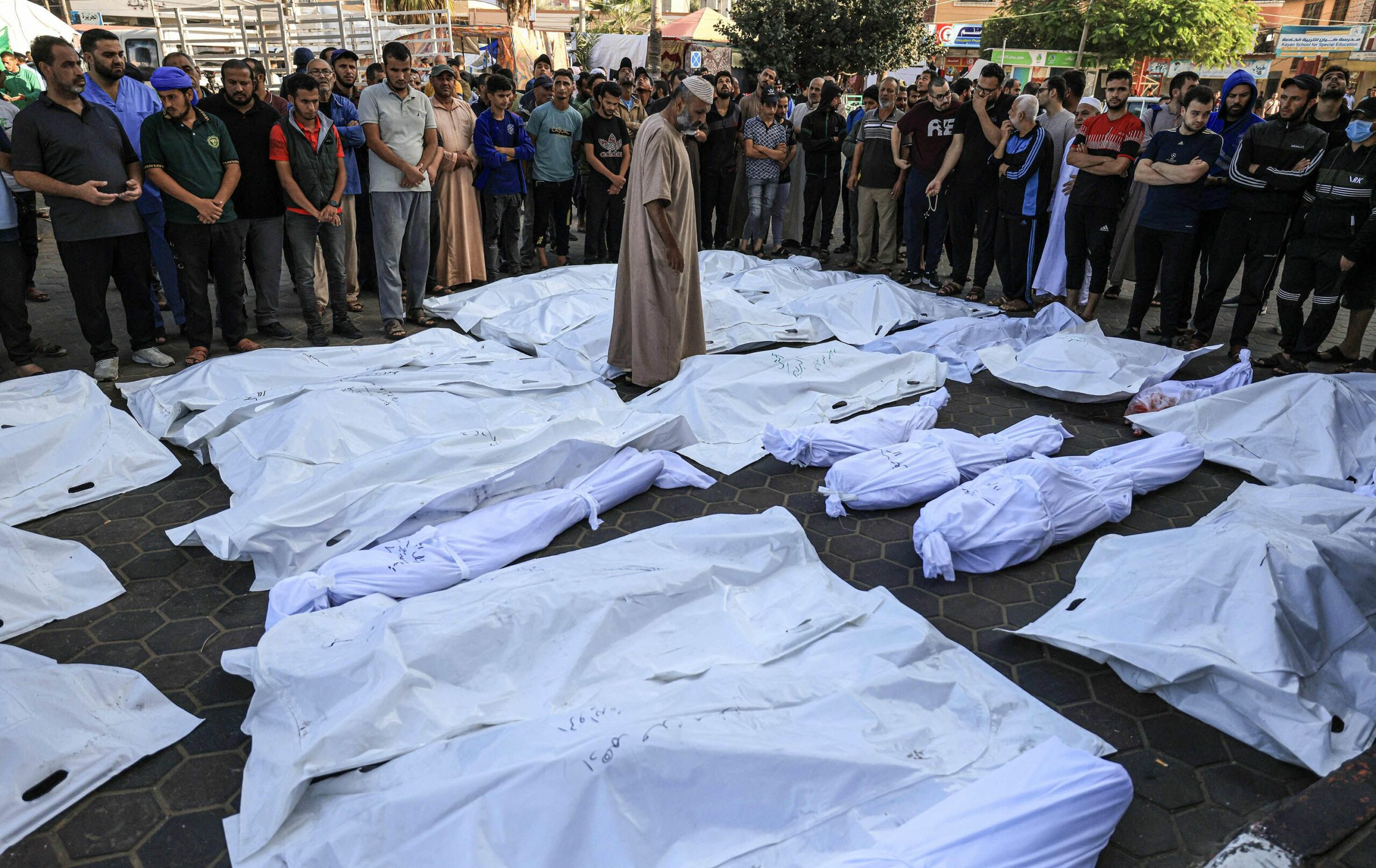 المدعي العام لـ«الجنائية الدولية» يطالب بالقبض على السنوار وهنية والضيف.. ونتنياهو وجالانت | «صحة غزة»: مقتل 106 فلسطينيين خلال آخر 24 ساعة.. و«حرب التجويع تعود»