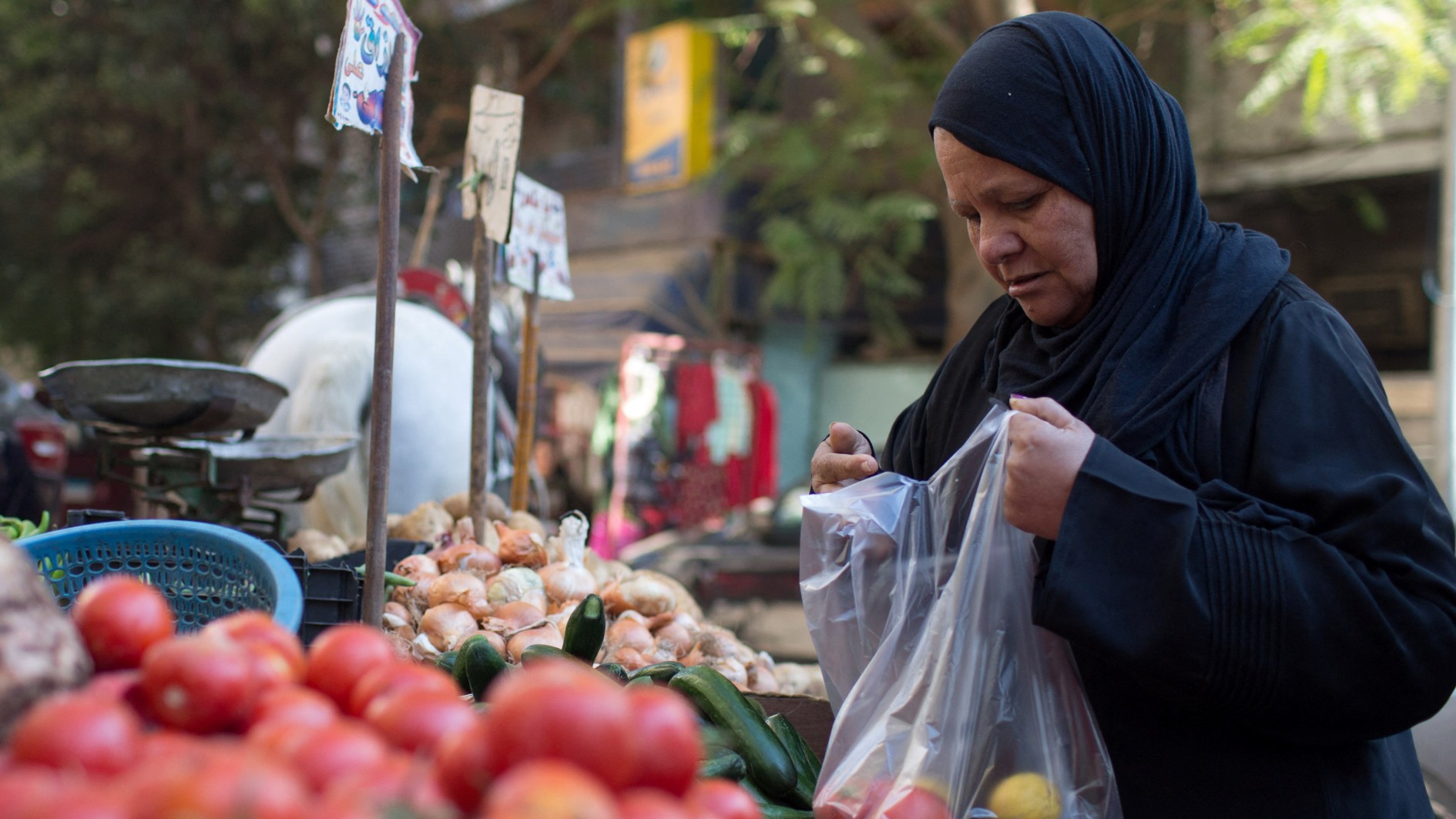 تقرير أممي: 33 مليون مصري يعانون انعدام الأمن الغذائي و9 ملايين مصابون بسوء التغذية