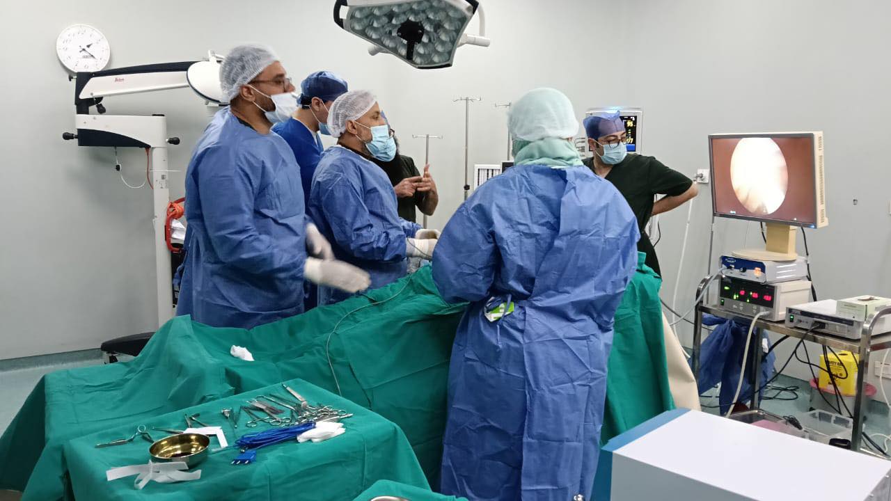 أطباء يطالبون السيسي بالتدخل لتعديل «المسؤولية الطبية».. و«النقيب» يجهز لطلب جلسة استماع في «النواب»