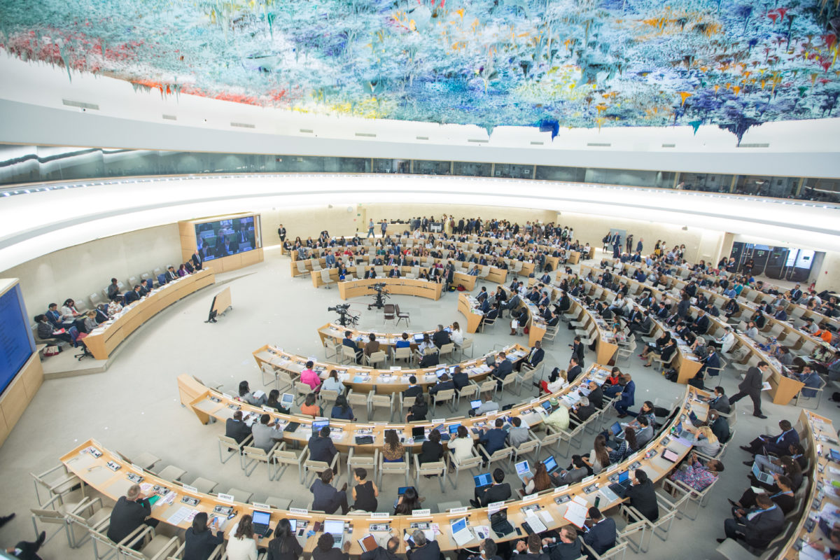 Egypt prepares to present human rights record to UN Human Rights Council