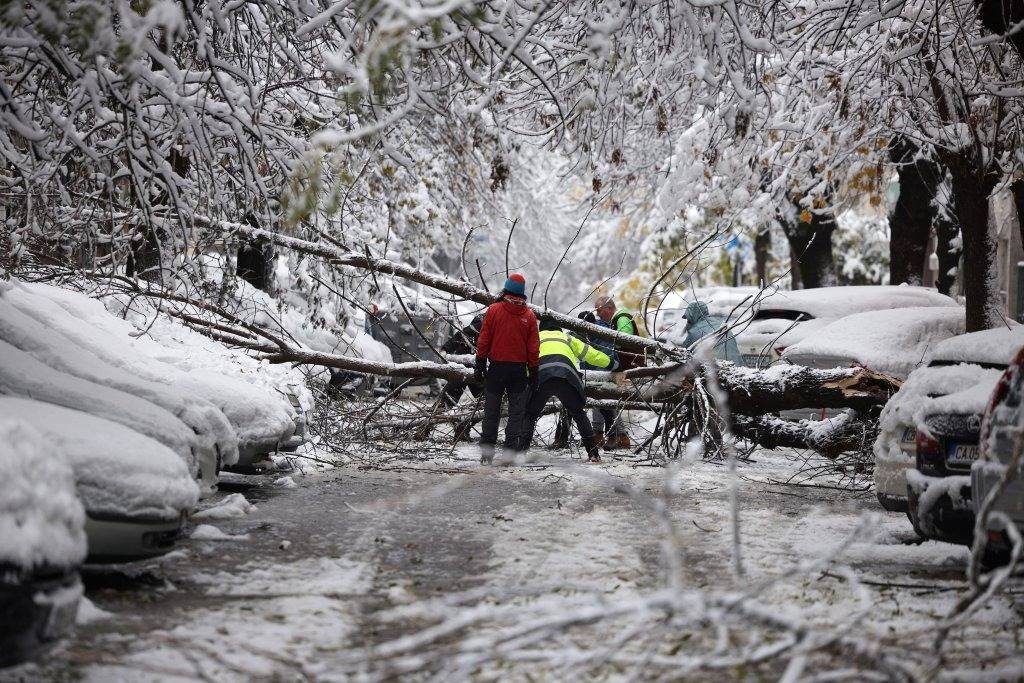 Bodies of 3 Egyptians repatriated following deaths on Balkan route to Europe, humanitarian organizations say