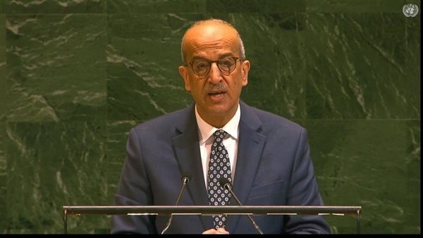 مصر في الأمم المتحدة: «الفيتو» الأمريكي لا يسمو على القانون الدولي ولا يبرر قتل الأطفال