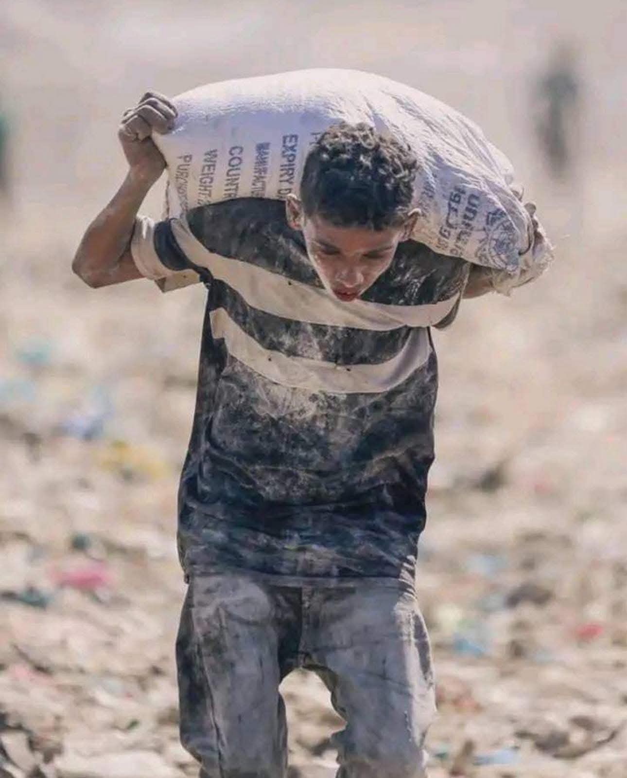 من أجل الطحين.. «صمود» تبيع ملابس أطفالها | 51 قتيلًا بينهم «مُجوَّعين» وصحفي في هجمات إسرائيلية