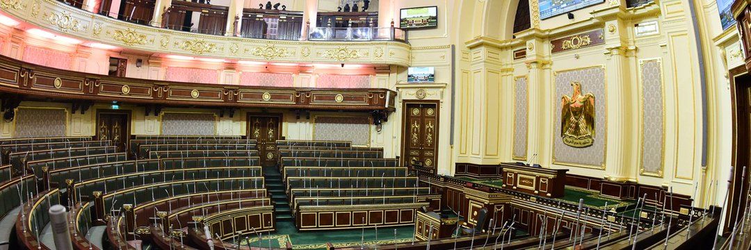 السيسي يرُد «الإجراءات الجنائية» لـ«النواب».. والباقر: تعديل القانون يجب أن يشمل فلسفته