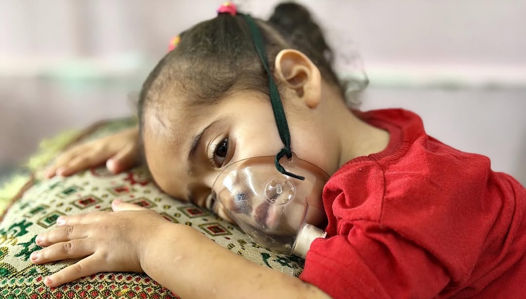 طعام ودواء قليل وتوزيع بلا عدالة.. أهل غزة: «المجاعة مستمرة» بفعل الحصار