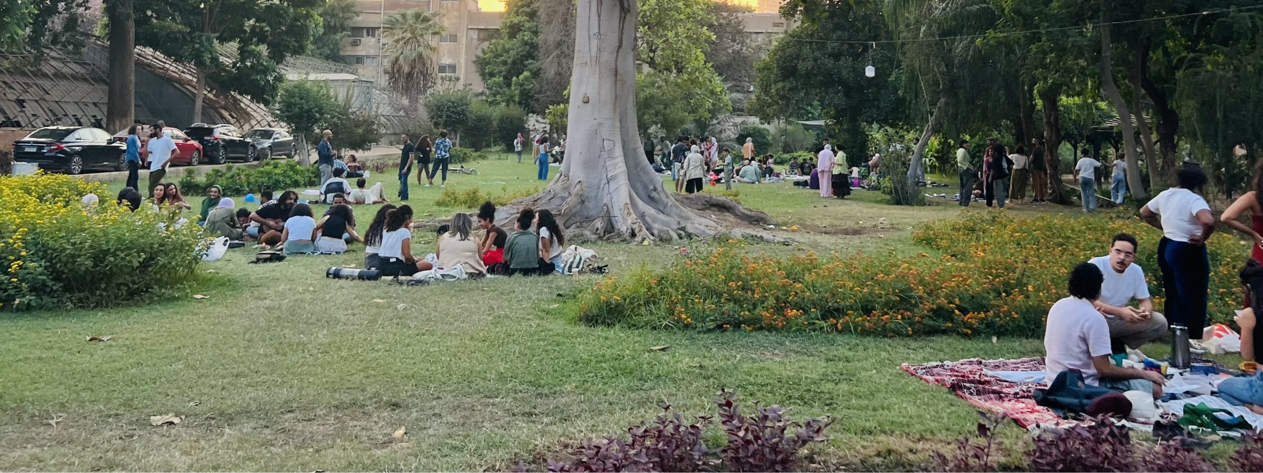 تطوير جديد ومبهم من نصيب حديقة الزهرية