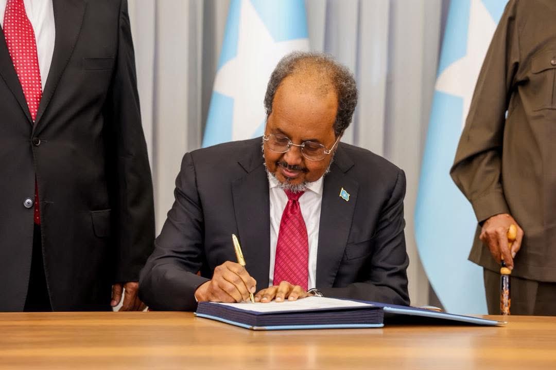 Another fracture in the Somali state? New constitution ends 12-year provisional governance but opens new crisis